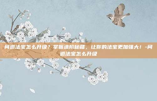 问道法宝怎么升级?掌握进阶秘籍,让你的法宝更加强大!-问道法宝怎么升级