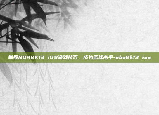 掌握NBA2K13 iOS游戏技巧,成为篮球高手-nba2k13 ios