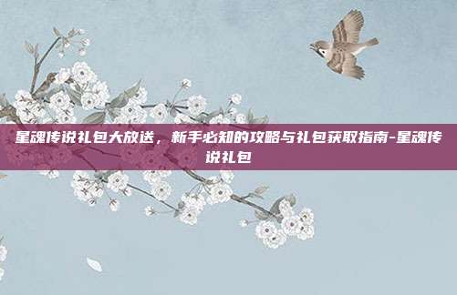 星魂传说礼包大放送,新手必知的攻略与礼包获取指南-星魂传说礼包