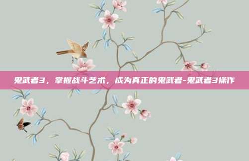 鬼武者3,掌握战斗艺术,成为真正的鬼武者-鬼武者3操作