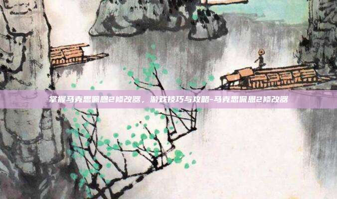 掌握马克思佩恩2修改器,游戏技巧与攻略-马克思佩恩2修改器