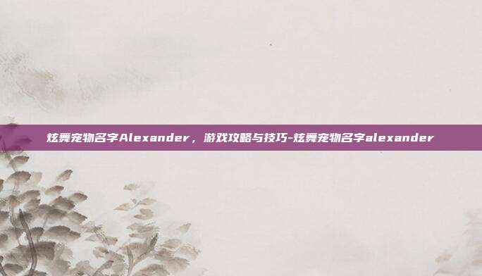 炫舞宠物名字Alexander,游戏攻略与技巧-炫舞宠物名字alexander