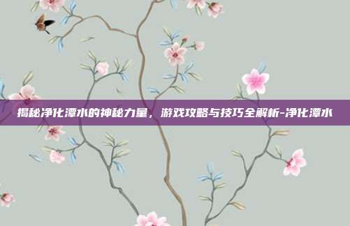 揭秘净化潭水的神秘力量,游戏攻略与技巧全解析-净化潭水