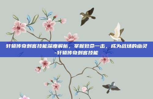 轩辕传奇刺客技能深度解析,掌握致命一击,成为战场的幽灵-轩辕传奇刺客技能