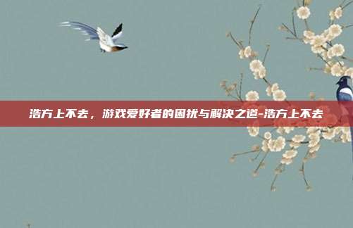 浩方上不去,游戏爱好者的困扰与解决之道-浩方上不去