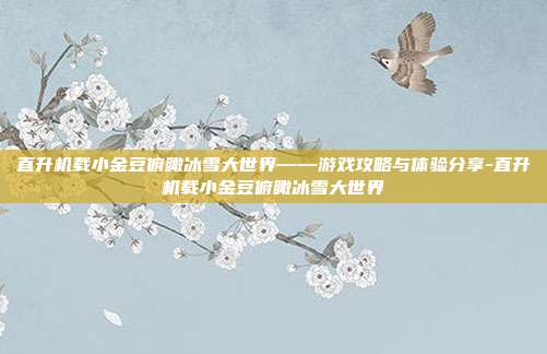 直升机载小金豆俯瞰冰雪大世界——游戏攻略与体验分享-直升机载小金豆俯瞰冰雪大世界