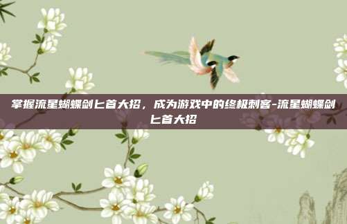 掌握流星蝴蝶剑匕首大招,成为游戏中的终极刺客-流星蝴蝶剑匕首大招