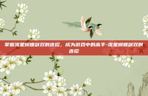 掌握流星蝴蝶剑双刺连招,成为游戏中的高手-流星蝴蝶剑双刺连招