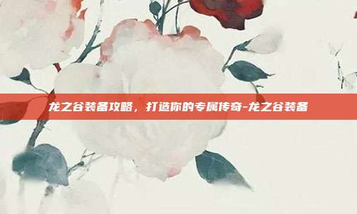 龙之谷装备攻略,打造你的专属传奇-龙之谷装备