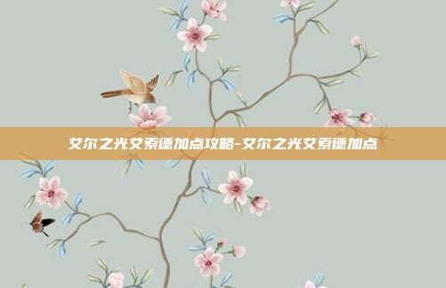 艾尔之光艾索德加点攻略-艾尔之光艾索德加点