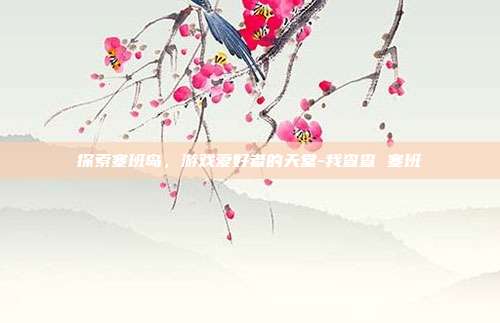 探索塞班岛,游戏爱好者的天堂-我查查 塞班
