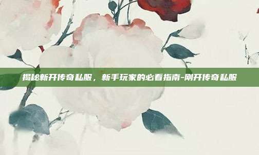 揭秘新开传奇私服,新手玩家的必看指南-刚开传奇私服