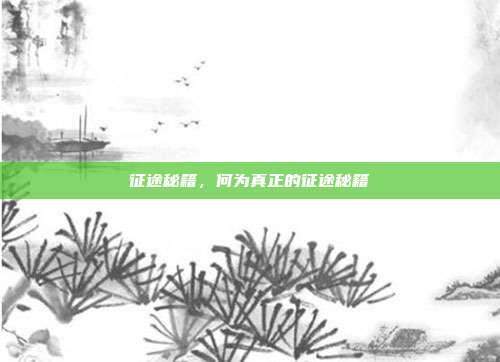征途秘籍,何为真正的征途秘籍