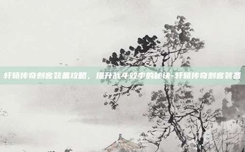 轩辕传奇刺客装备攻略,提升战斗效率的秘诀-轩辕传奇刺客装备