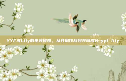 YYF与Lily的电竞传奇,从并肩作战到共同成长-yyf lily