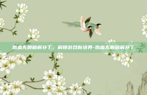 热血无赖破解补丁,解锁游戏新境界-热血无赖破解补丁