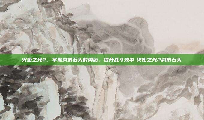火炬之光2,掌握减伤石头的奥秘,提升战斗效率-火炬之光2减伤石头