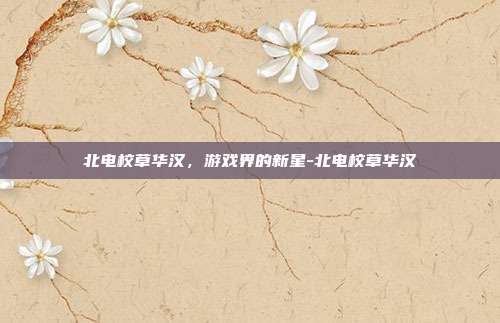 北电校草华汉,游戏界的新星-北电校草华汉