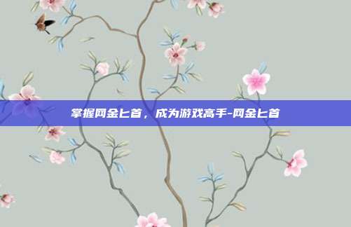 掌握网金匕首,成为游戏高手-网金匕首