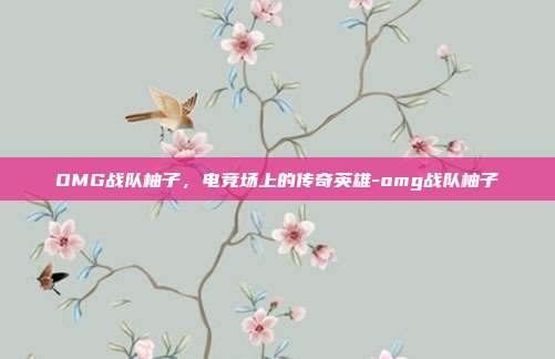 OMG战队柚子,电竞场上的传奇英雄-omg战队柚子