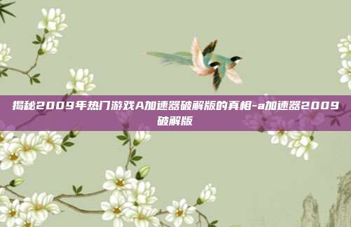 揭秘2009年热门游戏A加速器破解版的真相-a加速器2009破解版