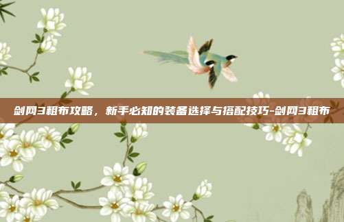 剑网3粗布攻略,新手必知的装备选择与搭配技巧-剑网3粗布