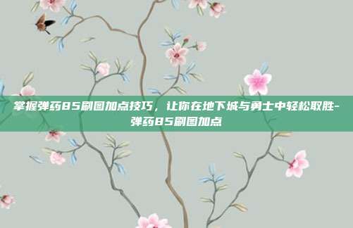 掌握弹药85刷图加点技巧,让你在地下城与勇士中轻松取胜-弹药85刷图加点