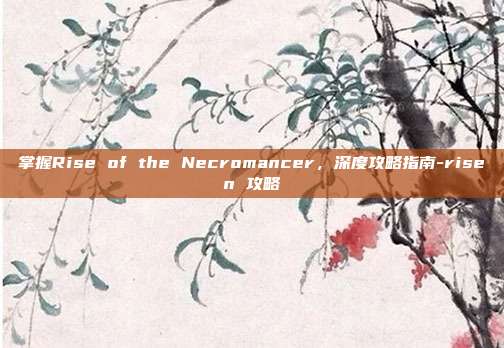 掌握Rise of the Necromancer,深度攻略指南-risen 攻略