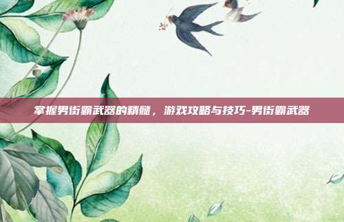 掌握男街霸武器的精髓,游戏攻略与技巧-男街霸武器