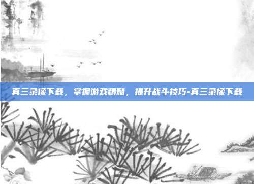 真三录像下载,掌握游戏精髓,提升战斗技巧-真三录像下载