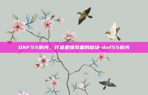 DNF55粉光,打造最强装备的秘诀-dnf55粉光